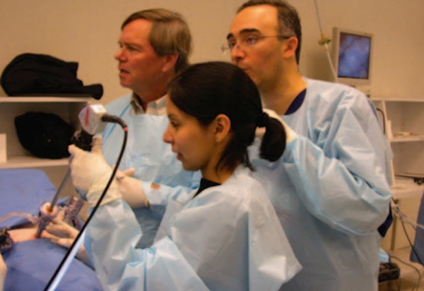 GYN Oncology course 2007
